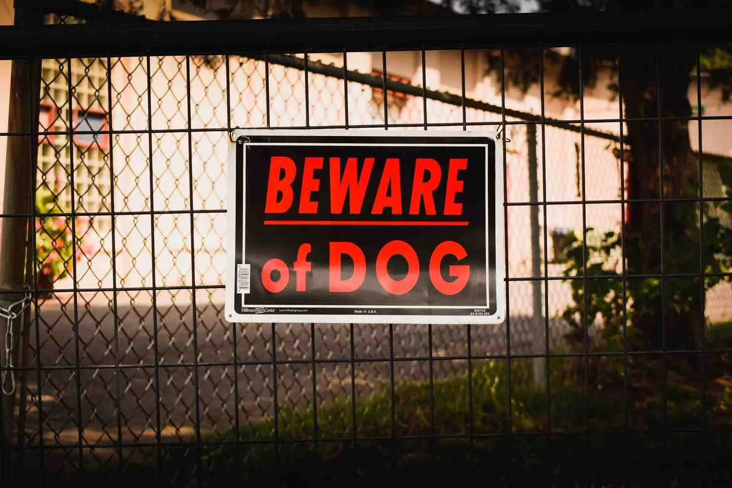 Dog Bites
