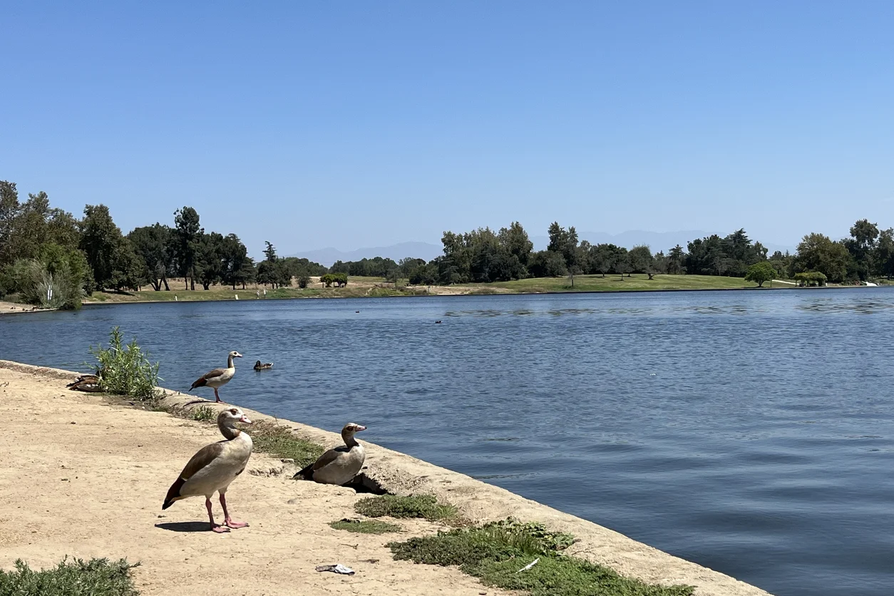Personal Injury Attorney in Lake Balboa
